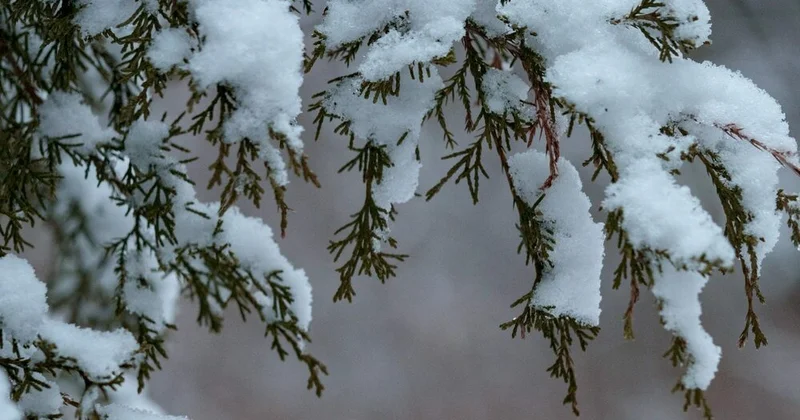 Ölkə ərazisində yağış və qar yağacaq XƏBƏRDARLIQ