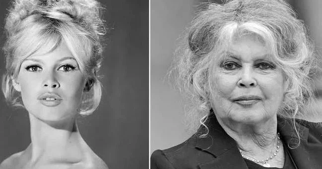 Брижит Бардо будет похоронена в саду своей виллы в Сен Тропе