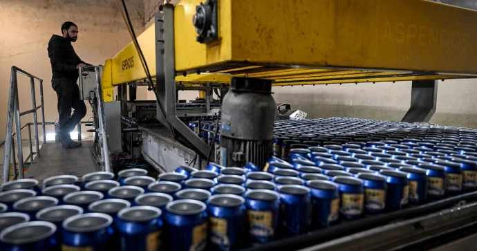 Müsəlman ölkəsində ilk dəfə: pivə ixracına rəsmi lisenziya verildi FOTO