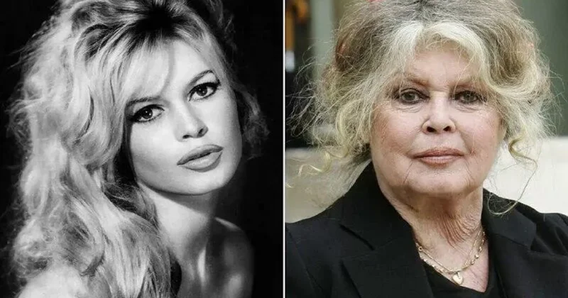 Bricit Bardonun son istəyi yerinə yetiriləcək