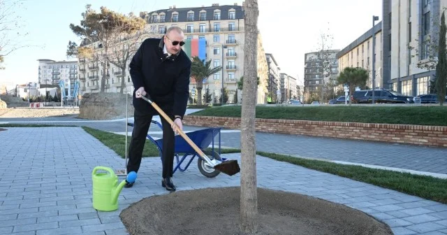 Prezident bu parkda ilk palıd ağacını əkdi VİDEO