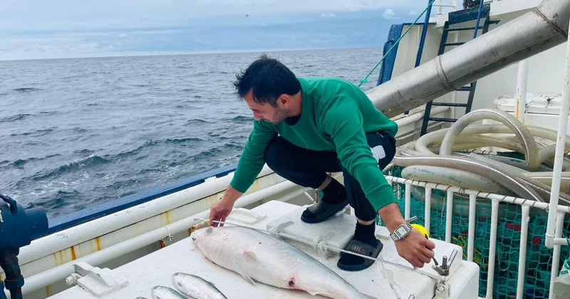 Вносятся изменения в Налоговый кодекс Азербайджана в связи с реализацией сельхозпродукции