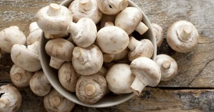 Az kalorili, yüksək fayda: Göbələk niyə süfrələrdən əskik olmamalıdır?