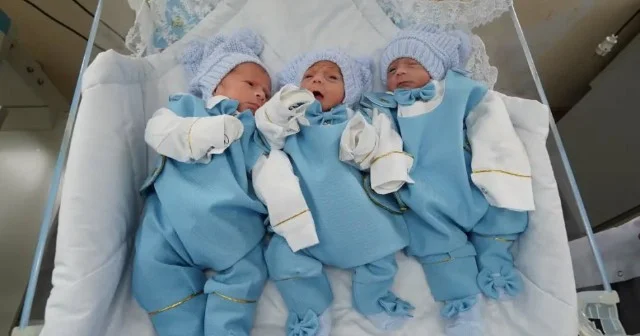 Xaçmazda üçəm dünyaya gəldi FOTOLAR