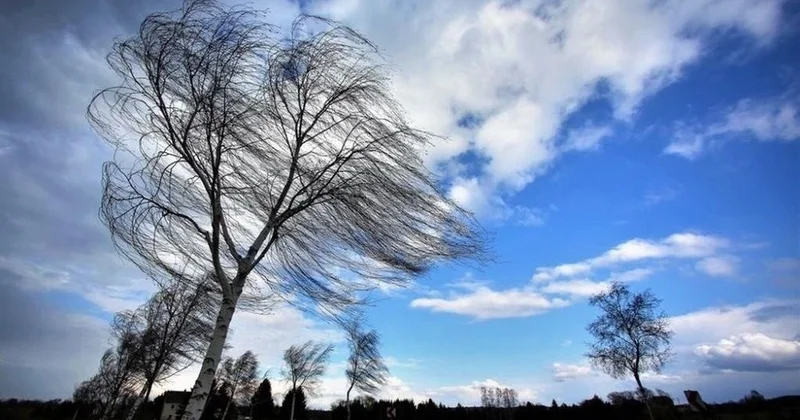 В Баку и регионах Азербайджана усилится ветер ПРЕДУПРЕЖДЕНИЕ