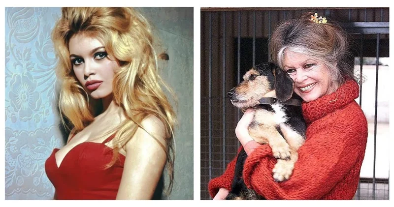 Правила жизни Брижит Бардо: Я все бросила ради животных и это был мой самый лучший поступок ФОТО