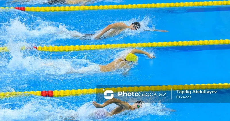Azərbaycan üzgüçüləri il ərzində hansı beynəlxalq yarışlarda iştirak ediblər?