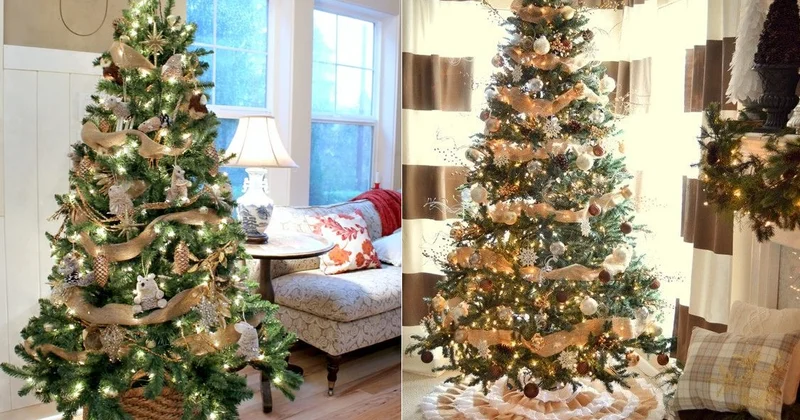 Allergiyası olanlar “Yolka”dan uzaq dursunlar Həkimdən təhlükəsi barədə XƏBƏRDARLIQ