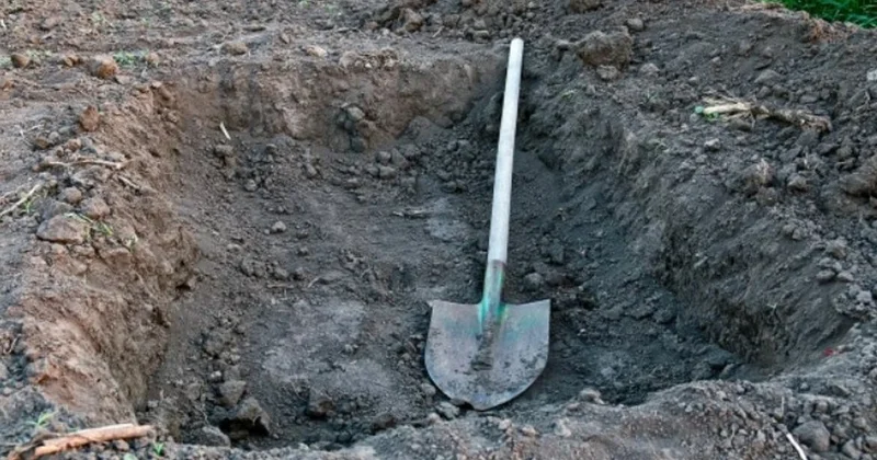 Раскрыто убийство женщины, пропавшей в 2012 году Minval Politika