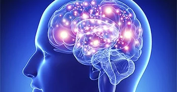 Alim beynin 25 yaşına qədər tam yetkinləşdiyi mifini təkzib etdi...