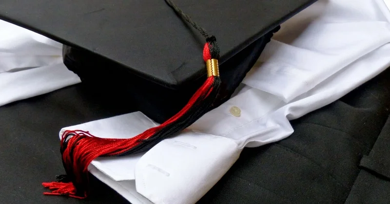 Ali təhsildə bəzi ixtisas proqramlarına gender bərabərliyi ilə bağlı seçmə fənlər daxil edilə bilər