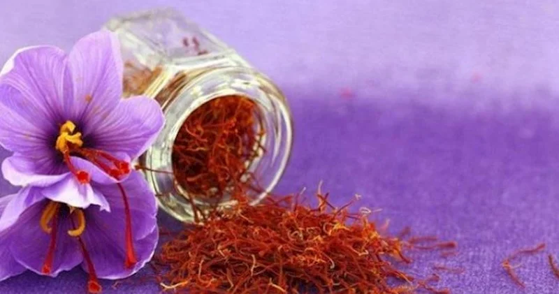Yerli zəfəranın qramını xaricə 10 manata satıb, Türkiyədən 4 qəpiyə zəfəran gətiririk