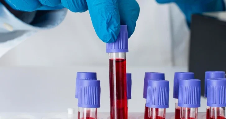Учёные из Стэнфорда выявили группу крови, способствующую долгожительству