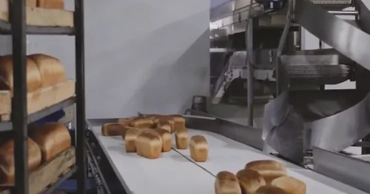 “Meyitə vurulan maddə çörəyə də vurulur?” Ekspertdən açıqlama