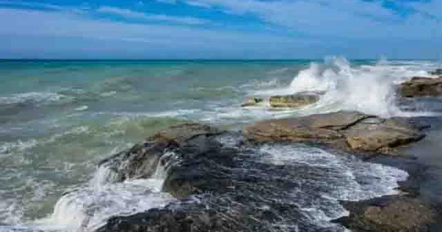 Азərbaycada Xəzər dənizinin suyunun duzsuzlaşdırılması zavodunun tikintisi üzrə layihə şirkəti yaradılıb