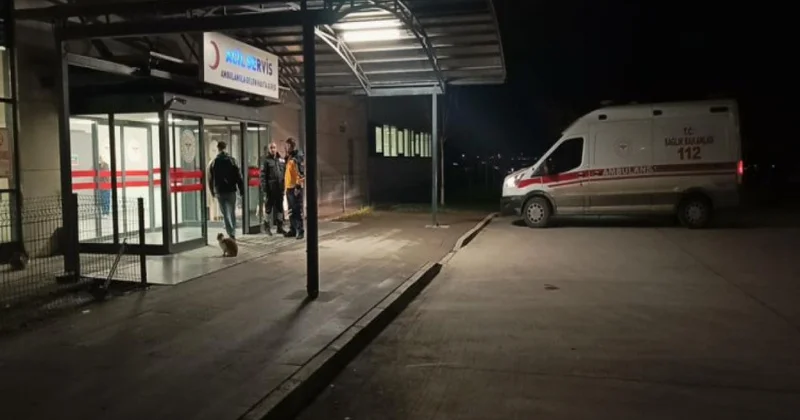 Türkiyədə İŞİD ə qarşı əməliyyat zamanı 7 polis əməkdaşı yaralanıb