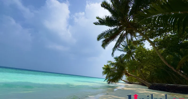 Bir anda qışdan yaya Maldiv adalarından FOTOLAR