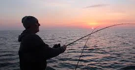 Рыбка потянула его в море