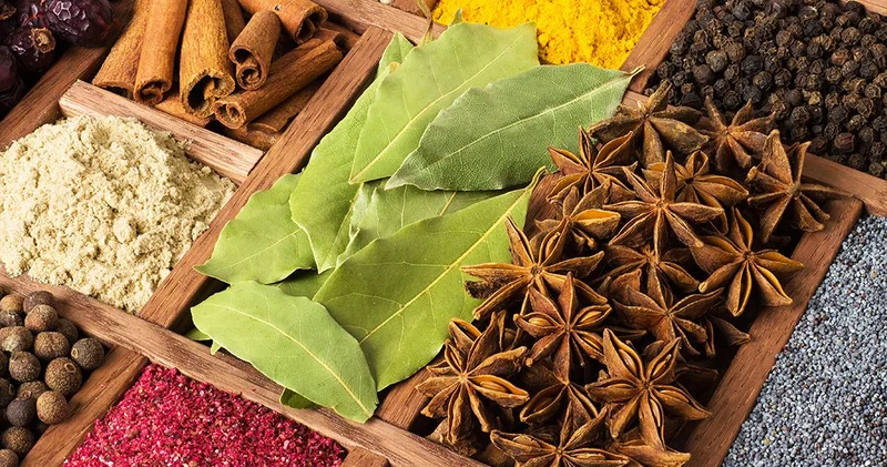 Ürək və təzyiq üçün ən faydalı ədviyyat