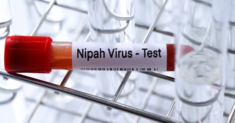 Нипах атакует планету