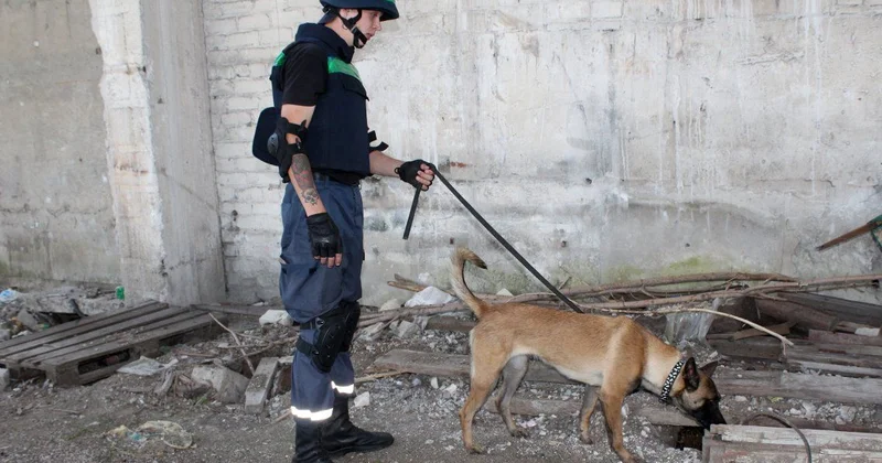 Волна сообщений о минировании госучреждений и учебных заведений в Украине Minval Politika