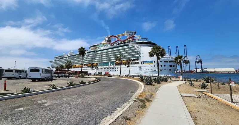 Пассажиры круизного лайнера заразились неизвестной болезнью