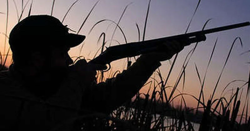 В Азербайджане продлен срок охотничьего сезона