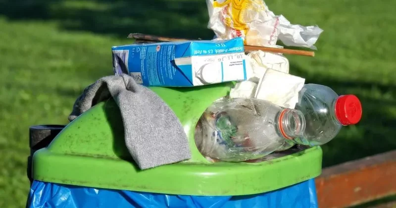 В Казахстане ужесточат штрафы за мусор и порчу деревьев