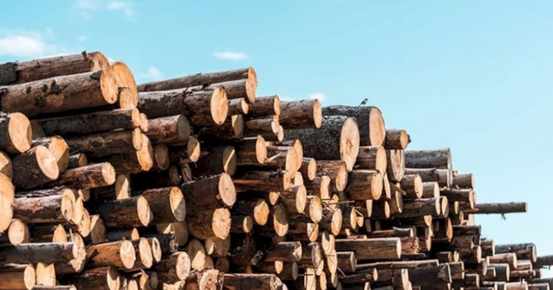 Neçə illərdir qazımız yoxdur, soyuqdan əziyyət çəkirik Salyan sakinlərindən şikayət