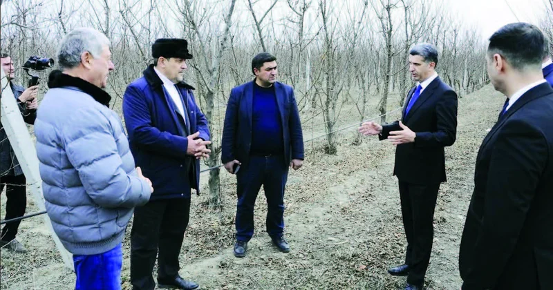 Göygöldə istehsal müasirləşir və genişlənir