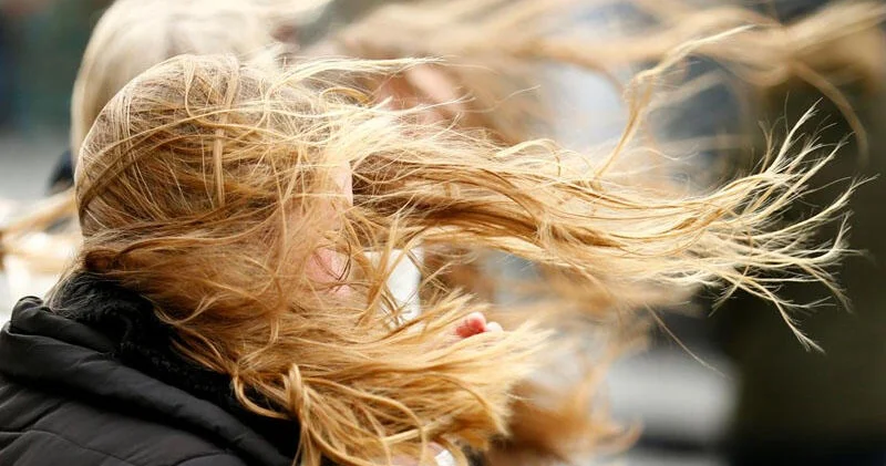 Paytaxt və bölgələrdə küləkli hava SARI XƏBƏRDARLIQ