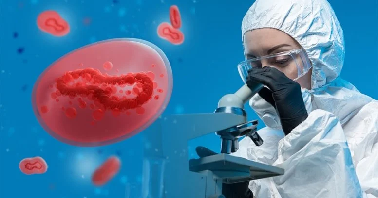 COVID 19 dan beş dəfə ölümcül! ÜST Nipah virusu ilə bağlı bəyanat yaydı