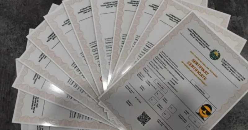 В Узбекистане этот сертификат станет основанием для получения гражданства