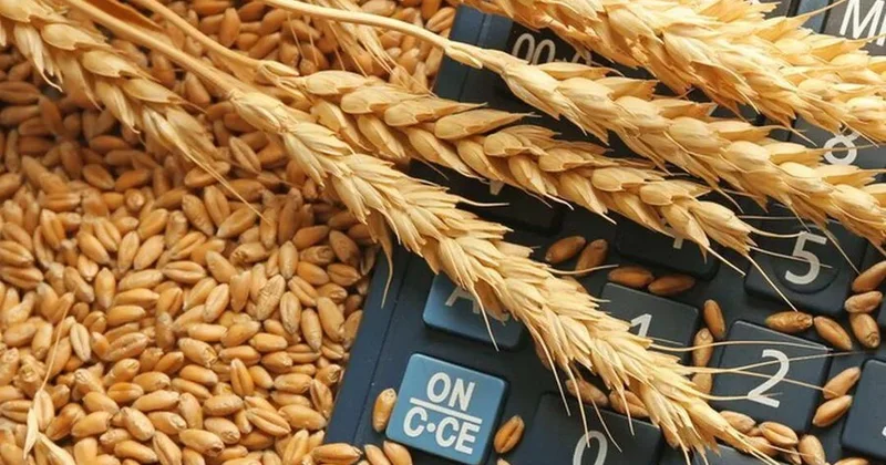 Сократился экспорт пшеницы из Казахстана в Азербайджан