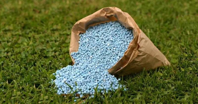 Азербайджан наращивает экспорт минеральных удобрений: цифры Госкомстата