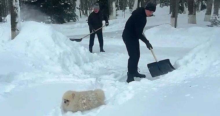 Лукашенко назвал девушкам способ всегда оставаться молодыми и красивыми Minval Politika