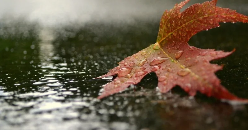 Синоптики рассказали, каким будет февраль в Азербайджане