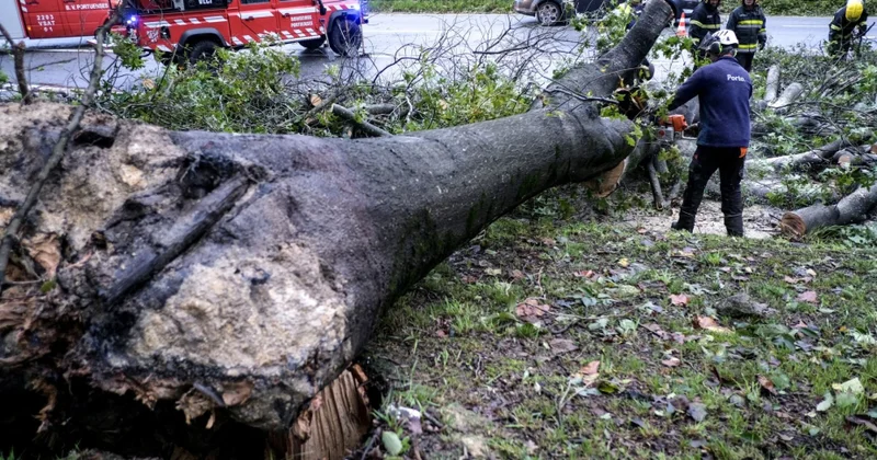Portuqaliyada fırtına 290 mindən çox evi elektriksiz qoyub