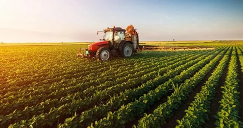 Aqrar məhsul ixracı 27% ə yaxın artıb