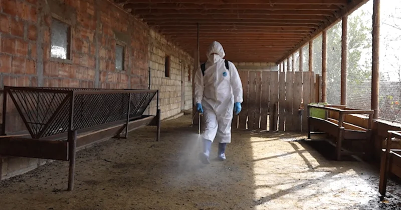 Heyvan xəstəliklərinə qarşı dezinfeksiya davam edir