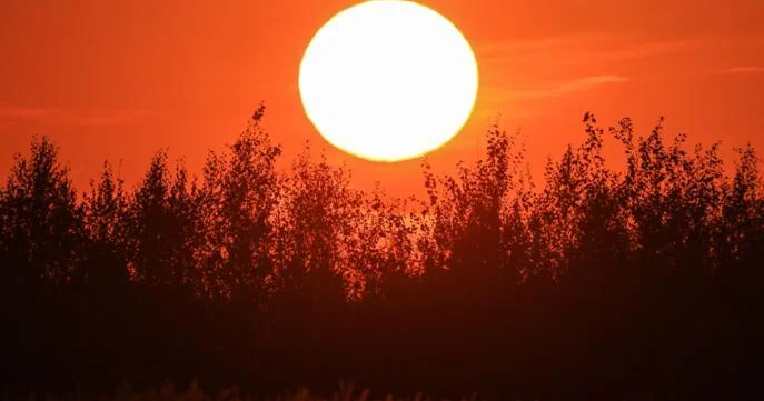 Ученые озвучили прогноз солнечной активности на ближайшие годы