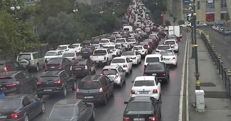 Цена водительской халатности