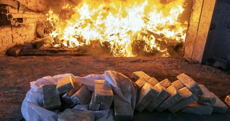 Gömrükdə götürülmüş 164 milyon manatlıq narkotik məhv edilib