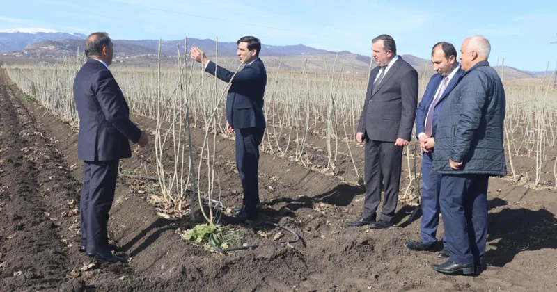 Aqrar Xidmətlər Agentliyinin sədri Xocalıda vətəndaşların müraicətlərini dinləyib