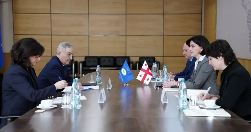 Грузия стала председателем Организации черноморского экономического сотрудничества