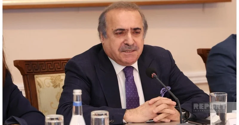 Рафаэль Гусейнов: В годы оккупации тысячи памятников Карабаха и Восточного Зангезура были недоступны