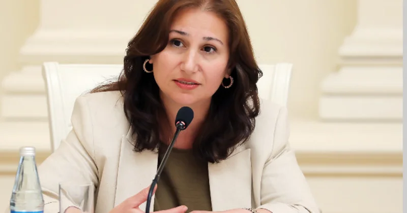 Komitə rəsmisi: Valideyn tərbiyəsi ilə zorakılıq arasındakı hüquqi sərhəd yeni qanun layihəsində ayrıca təsbit edilir MÜSAHİBƏ