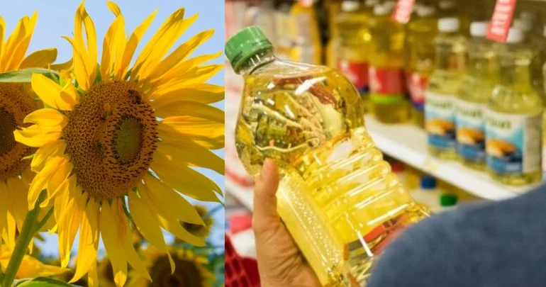 Yağ ixracının həcmi azalıb FOTO