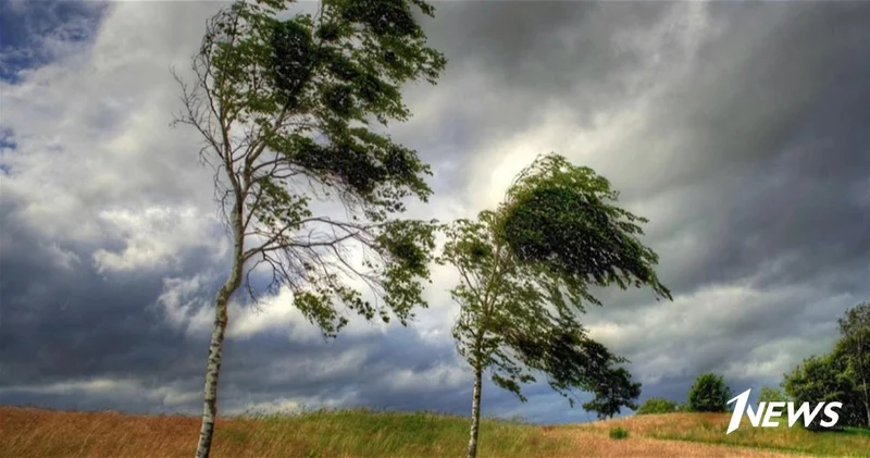 В этот день в Баку усилится ветер