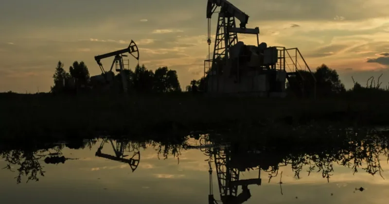 Black Sea Petroleum планирует захватить рынки Грузии